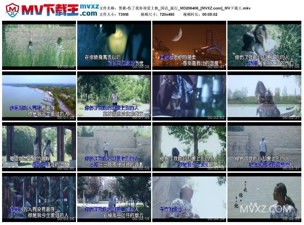 黑歌-伤了我你却爱上他_国语_流行_MD206406